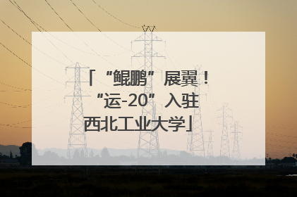 “鲲鹏”展翼！“运-20”入驻西北工业大学