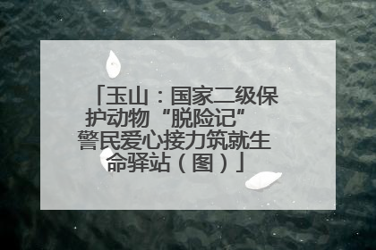 玉山：国家二级保护动物“脱险记” 警民爱心接力筑就生命驿站（图）