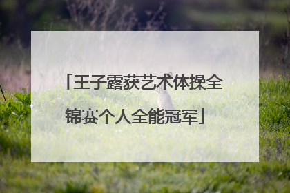 王子露获艺术体操全锦赛个人全能冠军