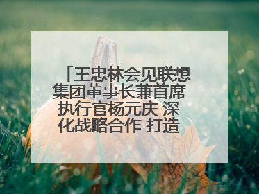 王忠林会见联想集团董事长兼首席执行官杨元庆 深化战略合作 打造世界级光电子信息产业集群