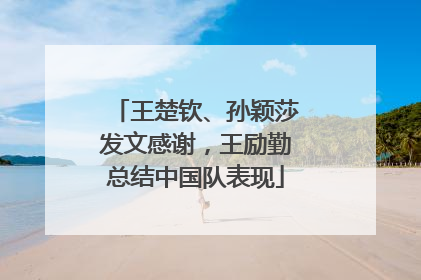 王楚钦、孙颖莎发文感谢，王励勤总结中国队表现