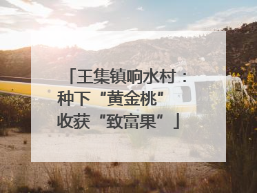 王集镇响水村：种下“黄金桃” 收获“致富果”