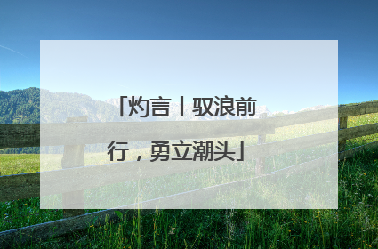 灼言丨驭浪前行，勇立潮头