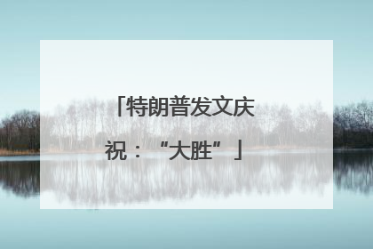特朗普发文庆祝：“大胜”