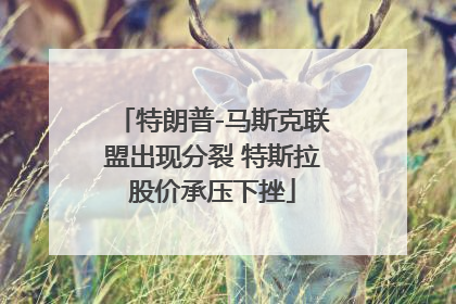 特朗普-马斯克联盟出现分裂 特斯拉股价承压下挫