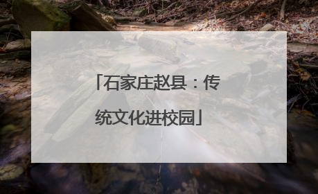 石家庄赵县：传统文化进校园