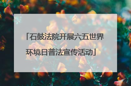 石鼓法院开展六五世界环境日普法宣传活动