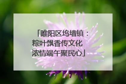 睢阳区坞墙镇：粽叶飘香传文化 浓情端午聚民心