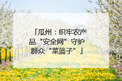 瓜州：织牢农产品“安全网”守护群众“菜篮子”