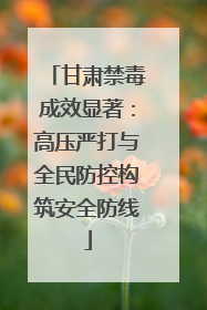 甘肃禁毒成效显著：高压严打与全民防控构筑安全防线