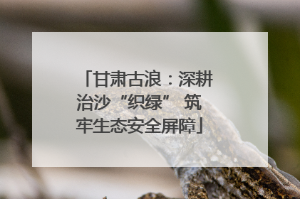 甘肃古浪：深耕治沙“织绿” 筑牢生态安全屏障