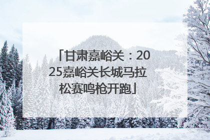 甘肃嘉峪关：2025嘉峪关长城马拉松赛鸣枪开跑