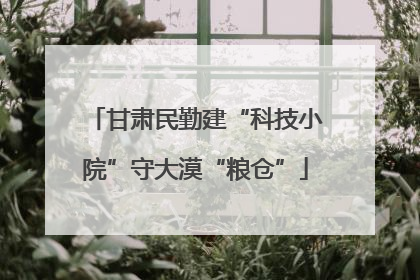 甘肃民勤建“科技小院”守大漠“粮仓”