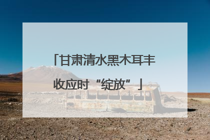 甘肃清水黑木耳丰收应时“绽放”