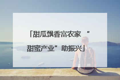 甜瓜飘香富农家 “甜蜜产业”助振兴
