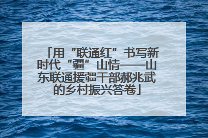 用“联通红”书写新时代“疆”山情——山东联通援疆干部郝兆武的乡村振兴答卷