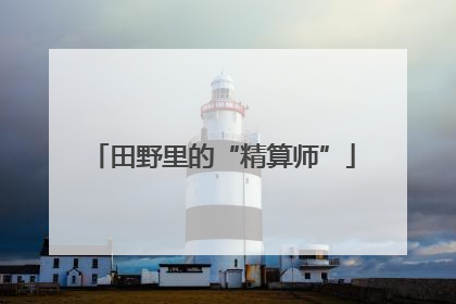 田野里的“精算师”
