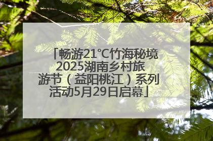 畅游21℃竹海秘境 2025湖南乡村旅游节（益阳桃江）系列活动5月29日启幕