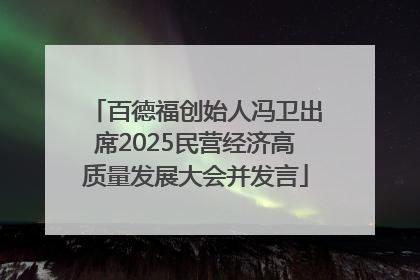 百德福创始人冯卫出席2025民营经济高质量发展大会并发言