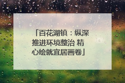 百花湖镇：纵深推进环境整治 精心绘就宜居画卷