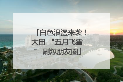 白色浪漫来袭！大田 “五月飞雪” 刷爆朋友圈