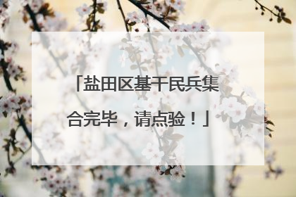盐田区基干民兵集合完毕，请点验！