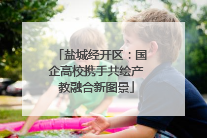 盐城经开区：国企高校携手共绘产教融合新图景