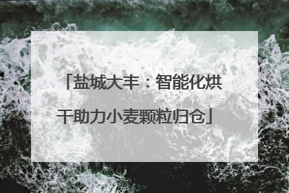 盐城大丰：智能化烘干助力小麦颗粒归仓