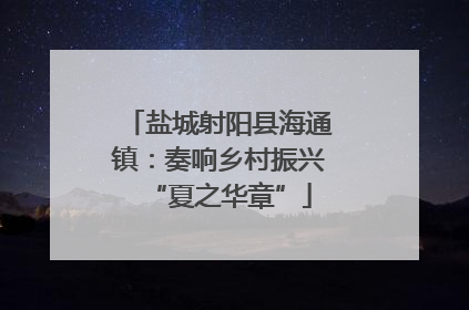 盐城射阳县海通镇：奏响乡村振兴“夏之华章”