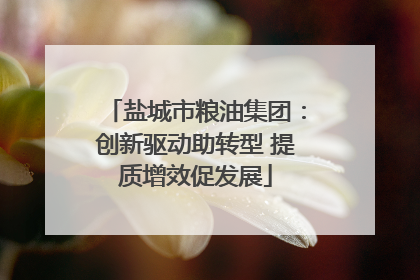 盐城市粮油集团：创新驱动助转型 提质增效促发展