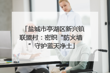 盐城市亭湖区新兴镇联盟村：密织“防火墙”守护蓝天净土