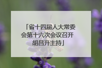 省十四届人大常委会第十六次会议召开 胡昌升主持
