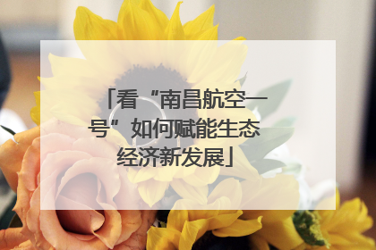 看“南昌航空一号”如何赋能生态经济新发展