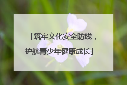 筑牢文化安全防线，护航青少年健康成长