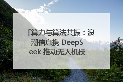 算力与算法共振：浪潮信息携 DeepSeek 推动无人机技术在舟山落地