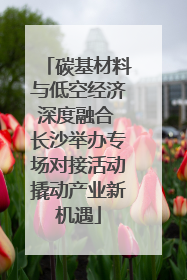 碳基材料与低空经济深度融合 长沙举办专场对接活动撬动产业新机遇
