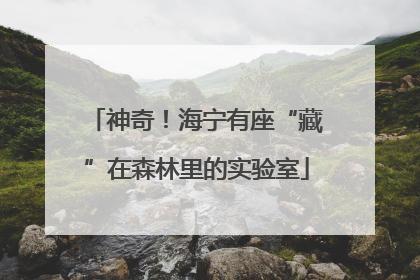 神奇！海宁有座“藏”在森林里的实验室