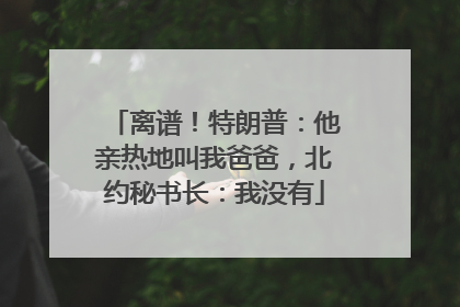 离谱！特朗普：他亲热地叫我爸爸，北约秘书长：我没有