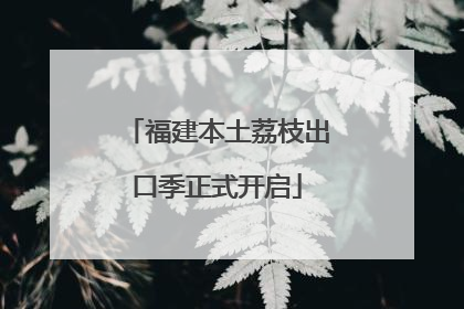 福建本土荔枝出口季正式开启