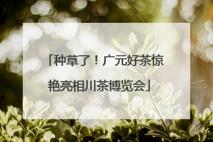 种草了！广元好茶惊艳亮相川茶博览会