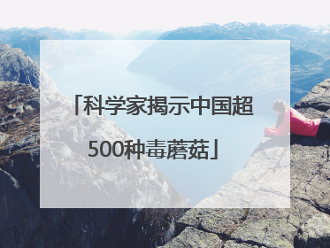 科学家揭示中国超500种毒蘑菇