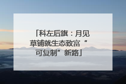 科左后旗：月见草铺就生态致富“可复制”新路