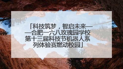 科技筑梦，智启未来——合肥一六八玫瑰园学校第十三届科技节机器人系列体验赛燃动校园