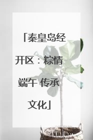 秦皇岛经开区：粽情端午 传承文化