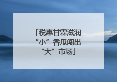 税惠甘霖滋润“小”香瓜闯出“大”市场
