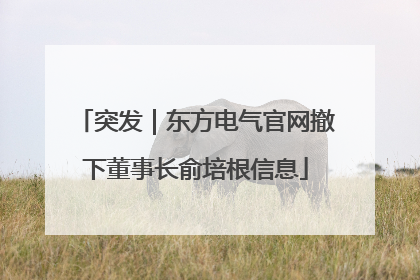突发｜东方电气官网撤下董事长俞培根信息