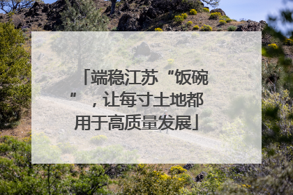 端稳江苏“饭碗”，让每寸土地都用于高质量发展