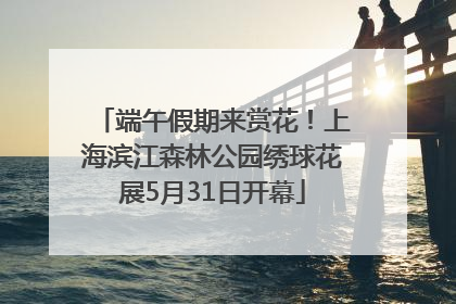端午假期来赏花！上海滨江森林公园绣球花展5月31日开幕