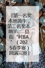 第一名奖本地黄牛，第二名奖本地羊……县街“村BA”（2025春季赛）圆满完赛