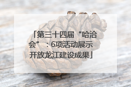 第三十四届“哈洽会”：6项活动展示开放龙江建设成果